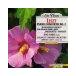 ���ꥹ��/liszt/Piano Concerto.2, Etc: Jando/15631