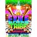/EXILE/EXILE TRIBE LIVE TOUR 2012 TOWER OF WISH(3)/RZBD59224
