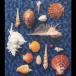 ���X�s�b�c/[��]CYCLE HIT 1991-1997 Spitz Complete Single Collection/UPCH9231