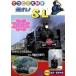 [ б/у ] пробег .!SL b14252|PDVD-014[ б/у DVD в аренду специальный ]