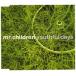 šyouthful days / Mr.Children c9622CDS