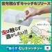 ..... catch Lee AMC-100. insect measures turtle msi.. insect taking . insect observation insect catch . insect .. observation removal made in Japan Smile Kids mail service free shipping 