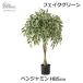 �t�F�C�N�O���[�� �x���W���~�� 85cm �l�H�ϗt�A�� ���� �ϗt�A�� ������� �C���e���A�O���[�� GRN-20 �k�� �i�`������ �{�����[�� �y�₩ ���� ���� ���r���O