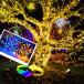 2�F�ؑփ^�C�v�\�[���[ LED�C���~�l�[�V���� �N���X�}�X 500�� 30m �h�� �E�I�[���z���C�g�E�J���t�� �����A���� TYPEC�[�d��