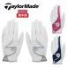  TaylorMade Golf перчатка Gris to Element перчатка пара женский обе рука для женский TaylorMade Golf TJ178
