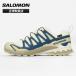  Salomon SALOMON спортивные туфли мужской XA PRO 3D V9 GTX трейлраннинг jo серебристый g обувь GORE-TEX водонепроницаемый L47987500 | бренд [ стандартный обращение магазин ]