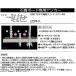 �R�^����(Yamashin Seikyo) YAMASHIN �{�[�h�A���J�[ G4 25�{ �֘A�摜3
