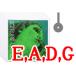 �o�C�I�����p�Z�b�g���@Evah Pirazzi �G���@�s���b�c�B
