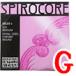 �`�F�����@Spirocore�^�f��S28 �X�s���R�A