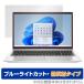 HP ProBook 450 G8 ݸ ե OverLay Eye Protector ȿ for HP ץ֥å ProBook450 ֥롼饤ȥå ȿ㸺