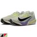  Nike мужской соперник fly 4 load бег обувь jo серебристый g марафон low cut FV6040