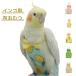  легкий тренировка Harness длиннохвостый попугай подгузники птица для подгузники 2 шт. комплект птица птица одежда одежда маленькая птица длиннохвостый попугай птица выход длиннохвостый попугай. одежда fn птица для Mini моча мокрый костюм ..