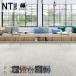  ковровая плитка солнечный getsu50×50 дешевый NT350 серии NT-3150 DROP CHECK