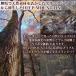 �X�P�{�[ �R���v���[�g DEEP MOUNTAIN �f�B�[�v�}�E���e�C�� �u�����N�f�b�L ���n �X�P�[�g�{�[�h ��l ���S�� �����i [inch:7.5]  [inch:7.75]  [inch:8.0] �֘A�摜1