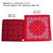 �o���_�i �唻 65�~65cm �r�b�O�o���_�iB �� �y�C�Y���[ ��100�� �� �� �I�����W �� ���F �� �l�C�r�[ �� �x�[�W�� ���F ��  �傫�� �傫�� ������� 430 �֘A�摜3