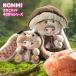 [ стандартный товар ]Nommi.. . шляпа 400% серии 400% V2 Mushroom Hat Plush Series эмблема нежный за границей хобби симпатичный симпатичный China за границей популярный 