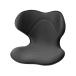  style Smart (Style SMART) MTG( Emuti ji-) posture correction pelvis support chair "zaisu" seat ( black )