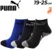 �v�[�} �L�b�Y �C�� 3���g �W���j�A �q�ǂ� �j�̎q 19-25cm PUMA �V���[�g�� 3P�\�b�N�X 3���Z�b�g �q���p ���L���H ������ �^�� �X�|�[�c �w�Z �ʊw /4293131
