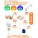�^�C�}�[�X�C�b�` �R���Z���g�^�C�}�[ 24���� �^�C�}�[�R���Z���g �v���O�����^�C�}�[ �I���I�t�^�C�}�[ PT26 �ߓd�O�b�Y �֘A�摜3