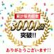 �^�C�}�[�X�C�b�` �R���Z���g�^�C�}�[ 24���� �^�C�}�[�R���Z���g �v���O�����^�C�}�[ �I���I�t�^�C�}�[ PT26 �ߓd�O�b�Y �֘A�摜2