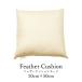  feather cushion nude contents 50×50cm four angle square feather feather cushion cushion contents 1000g 1kg