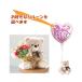 �N�} �e�f�B�x�A �ʂ������ �o���[�� ���D �d�� �M�t�g ������ �a���� �o�Y�j�� �v���[���g ���蕨 ���j�� ���܂̃}�b�N�X�̂ʂ����邪�^�ԃ����o���[���Z�b�g
