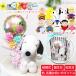  Snoopy wedding ba Rune electro- . birthday coming-of-age ceremony bouquet memory day presentation go in .. industry present present bell celebration of a birth is possible to choose Mini ba Rune bouquet attaching Snoopy set 