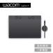 Wacom Intuos Pro medium (PTK670K0C) 拾 ڥ󥿥֥å