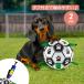  собака для футбольный мяч собака для игрушка собака игрушка omo коричневый воздушный насос имеется собака для мяч уход за зубами 
