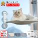  кошка гамак присоска 6 шт окно можно выбрать 3 размер 3 цвет кошка гамак кошка кошка bed кошка bed двусторонний покрытие выдерживаемая нагрузка 25kg.. кошка для гамак 