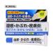 �y��(2)�ވ��i�z�畆�� ��p �莼�] �f���}���`�]��PV ��p 10g �畆�������Ö� ����