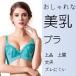 �֥饸�㡼�������֥顡����֥顡A75��A80��B75��B80 ����