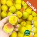  юг высота слива ..3L размер 1kg Wakayama префектура производство маринованные сливы . слива джем сок сироп 