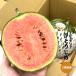  маленький шар ........2S размер 1 шар Wakayama префектура производство . для бытового использования ...