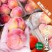  Wakayama префектура производство sumomo большой камень . сырой примерно 1kg ( примерно 500g×2 упаковка ) 2L размер и больше 2L 3L слива s Momo 