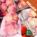  Wakayama префектура производство sumomo большой камень . сырой примерно 2kg ( примерно 500g×4 упаковка ) 2L размер и больше 2L 3L слива s Momo 