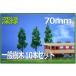 Ϸ70mmС10ܥå