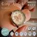 �r���v ���f�B�[�X ���킢�� ���� ������� �A�i���O ���̎q �q�� �����Y ���v �L�b�Y ���U�[ �o���h ���� �J�W���A�� �V���v�� �u�����h ���� �����Ռ��₷��