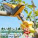 ���T�V �[�d���n���f�B���|�[���`�F�[���\�[�iPCS-6001�j �o�b�e���[�E�[�d��t�� �ؒf ���|�p �K�[�f�j���O �d�� �L�k ����
