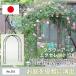  цветок арка excellent 120W No.210 GREENGARDEN сад арка rose садоводство садоводство зеленый цветок садовая мебель Kobayashi металлический материал 