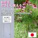  цветок защита 5 шт. комплект No.406-1 GREENGARDEN фигурная скобка принадлежности для садоводства садоводство сопутствующие товары рассада растение сад .. сельское хозяйство зеленый цветок садовая мебель Kobayashi металлический материал 
