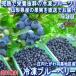 産地直送 冷凍ブルーベリー 約1kg 山形県産 JA庄内たがわ管内 羽黒地区産 完熟の果実を凍らせた抜群の栄養と美味しさ！