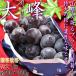  большой . глициния . виноград тщательно отобранный примерно 700g~900g очень большой 1. Yamanashi префектура производство .. стандарт внутренний . палец. тест . большой .. бренд ..! крупный * вид нет * высота сахар раз . выдающийся тест 