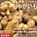  картофель мужчина .*... центр примерно 5kg M~3L размер Chiba * Ibaraki производство и т.п. большая вместимость различный . кулинария . можно использовать выгодный местного производства овощи![ время в зависимости культивирование . земля . меняется поэтому . производство земля тщательно отобранный ]