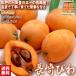  Nagasaki loquat greenhouse cultivation approximately 250g×4 pack .. standard JA all agriculture ....... shipping amount Japan one. Nagasaki prefecture production! beautiful . bead . abundance . nutrition . kind ..