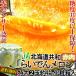 �炢�ł񃁃��� �ԓ� 2�� ��4kg �k�C���Y JA���傤�� ���ϔ����� �����x�̌��Z���T�[�I�ʂœ��x13�x�ۏ؁I�Â݈����i�t���[�c�I