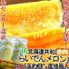 ra... дыня красный мясо 4~6 шар примерно 8kg Hokkaido производство JA.... производство земля в коробке высокая точность. свет сенсор выбор .. сахар раз 13 раз гарантия!.. избыток уникальная вещь фрукты!