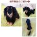 �I�[�_�[���C�h �r�уt�F���g ��񂿂�� ���ʐ^���琧�� ���� ���킢�� �������� ���{�� �r�уt�F���g �� ������ �t�F���b�g �n���X�^�[ ���� �⍜ ��� �֘A�摜2