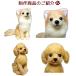 �I�[�_�[���C�h �r�уt�F���g ��񂿂�� ���ʐ^���琧�� ���� ���킢�� �������� ���{�� �r�уt�F���g �� ������ �t�F���b�g �n���X�^�[ ���� �⍜ ��� �֘A�摜5