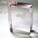  домашнее животное мемориальная табличка Silhouette также можно выбрать crystal мемориальная табличка розовый memorial собака кошка ... хомяк симпатичный модный 